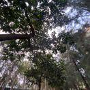 PL的个人资料头像