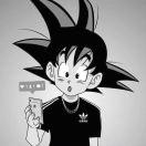 高级bug工程师的个人资料头像