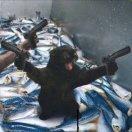 JasonZhang的个人资料头像