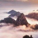 十里飘香的个人资料头像