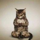 吴红远的个人资料头像