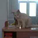 雪中无处寻的个人资料头像