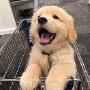 TheChainsmokers的个人资料头像