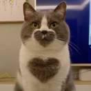 aguang同志的个人资料头像