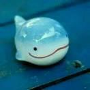 石鱼酒舫的个人资料头像