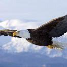 Mason__的个人资料头像