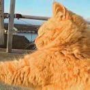 陈悌文的个人资料头像