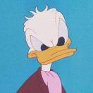 悦宁同志的个人资料头像