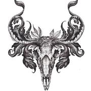 Neon0417的个人资料头像