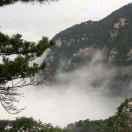 samclock的个人资料头像