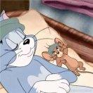 104192的个人资料头像