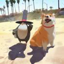 A的个人资料头像