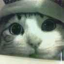 松烟落尽的个人资料头像