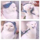 多才多艺的迷人怪兽的个人资料头像