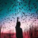 Timeless本尊104291的个人资料头像