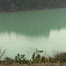 唐小山的个人资料头像