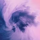 Kinte的个人资料头像