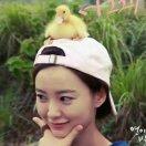 又夏的个人资料头像