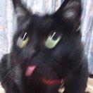 不要拖泥又带水的个人资料头像