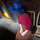 小麻雀爱学习的个人资料头像