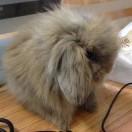 飞本尊104669的个人资料头像