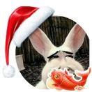 道道本尊的个人资料头像