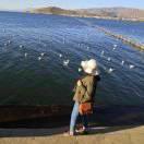 Echo同志104801的个人资料头像