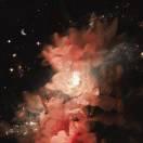 wo的个人资料头像