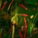 小刚就是我104827的个人资料头像