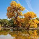 付良跃的个人资料头像