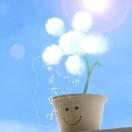 liuxia的个人资料头像