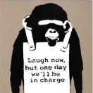 永刚酱的个人资料头像