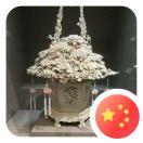 阿烨的个人资料头像