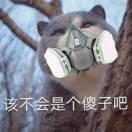 Pandas爱学习的个人资料头像