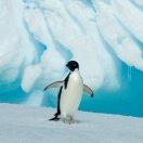 555本尊的个人资料头像