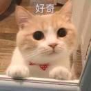 酱105323的个人资料头像