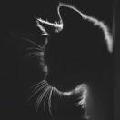 Halls105329的个人资料头像