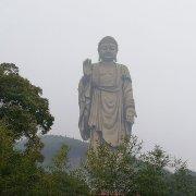 鸿鹄之志肇庆之始2020的个人资料头像