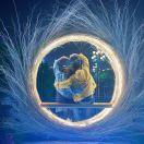 Aquarius重名了的个人资料头像