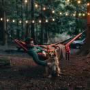 Elf030的个人资料头像