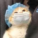 举个栗子爱学习105481的个人资料头像