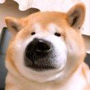 重名了的个人资料头像