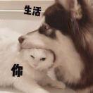 惜少菱的个人资料头像