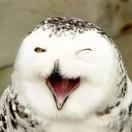 海流的个人资料头像