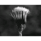 三思同学的个人资料头像