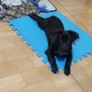 半夜不准聊天的个人资料头像