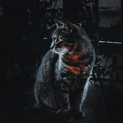 katesroad的个人资料头像