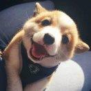 透明而不可视的个人资料头像