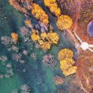 阿白爱学习105930的个人资料头像