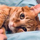 夏Xia_的个人资料头像